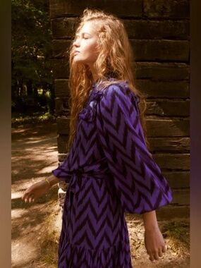 Sonmer Alice Dress Blue size Small NWT